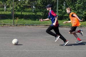 IMG 5231