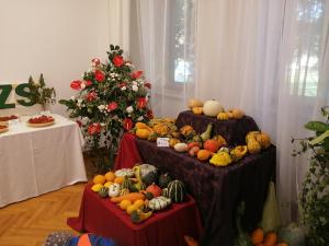 IMG 20220921 100051