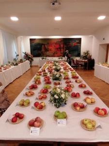 IMG 20220921 100126