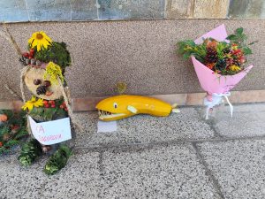 IMG 20250922 103856
