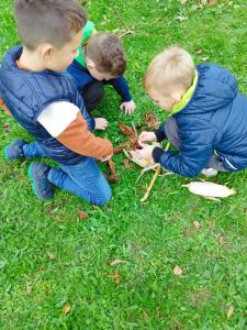 IMG 20241008 140513
