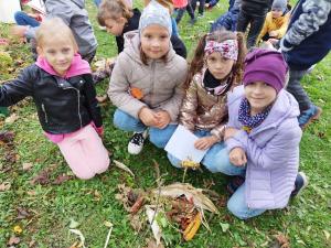 IMG 20241008 141826