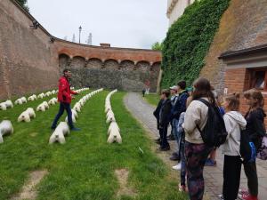 IMG-20230605-WA0037