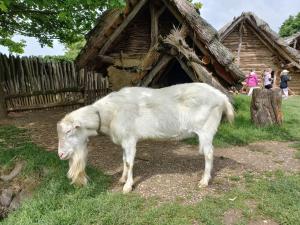 0aa405c8-1a0d-4eeb-bae9-4926559edae1-1 all 10872