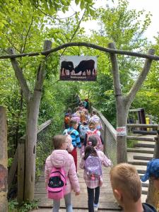 0aa405c8-1a0d-4eeb-bae9-4926559edae1-1 all 10889