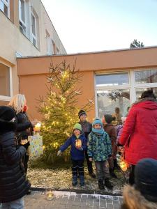 IMG 0589
