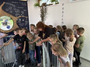 IMG 4447