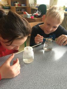 84A3F855-B6AA-4C50-83E0-192E2D97C8F8