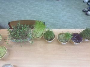 20260224 104509310 iOS