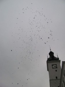 Vypouštění balonku, aerobik vánoční večírek 067
