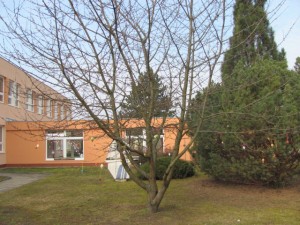 Velikonoční tvořivá dílna 27.3.2018 014