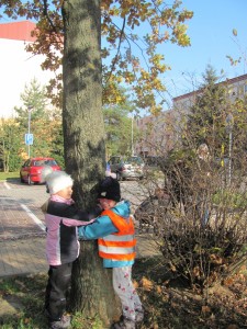 Úkoly skřítka Podzimníčka - listopad 2017 027