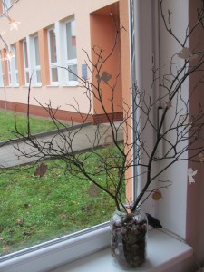 IMG 3672