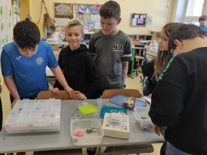 IMG 20250305 1222075