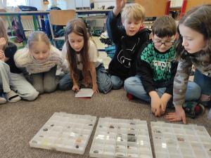 IMG 20250305 122736 1