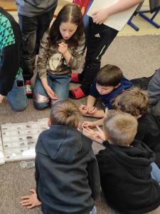 IMG 20250305 1237154